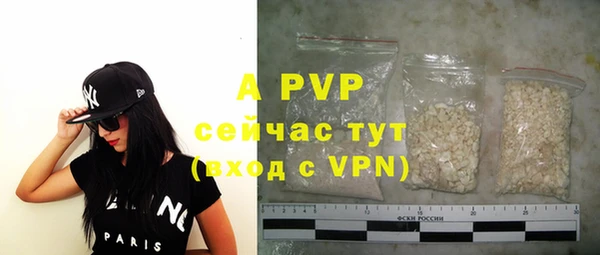гидра Володарск