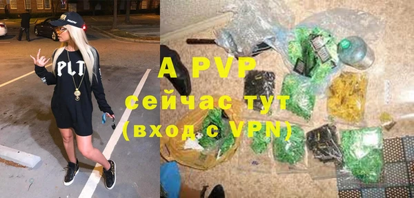 apvp Верея