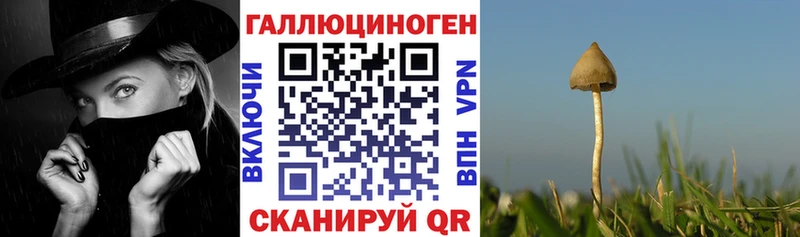 Псилоцибиновые грибы мухоморы  наркотики  Инта 